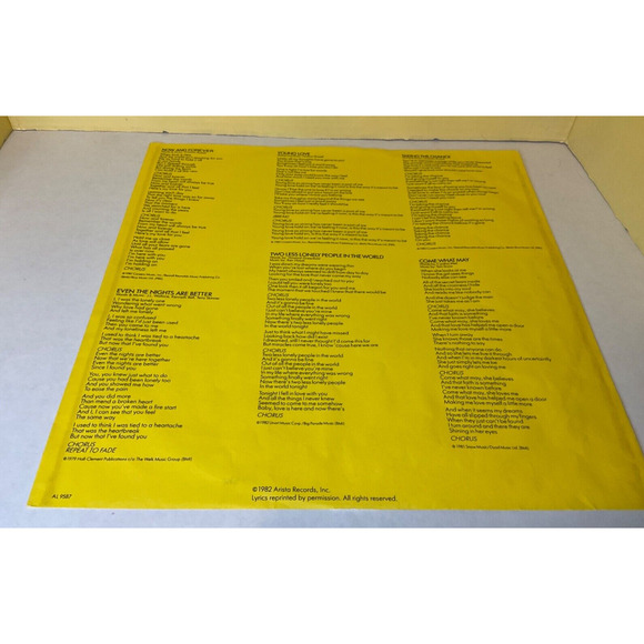 VINTAGE VINYL RECORD - AIR SUPPLY: NOW AND FOREVER - Picture 3 of 8